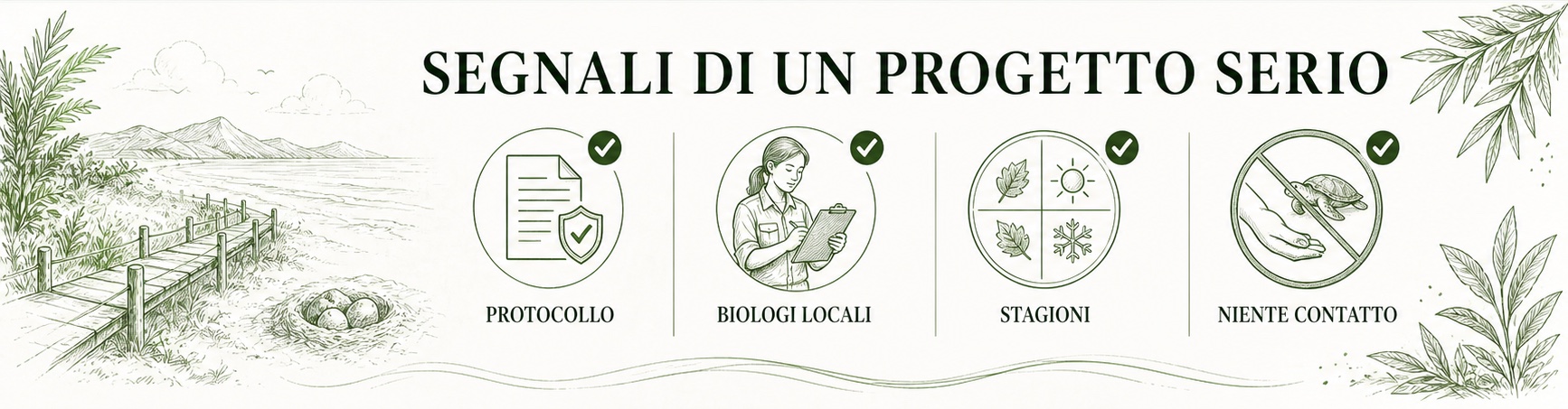 Schema pratico per orientarsi in volontariato con tartarughe marine: progetti e stagioni